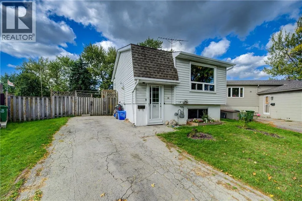 36 LAMB Court, Hamilton