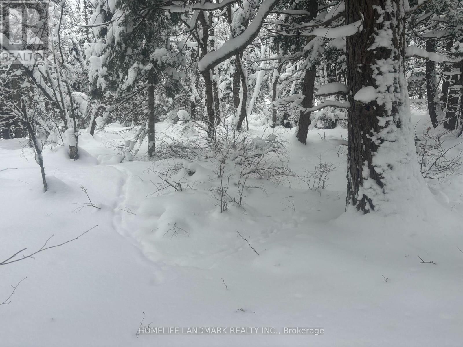 153 Acres Parcel 18476, Timmins (TM – Outside East)